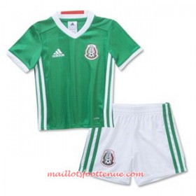 Maillot/Tenue Mexique Enfant Domicile 2016/2017