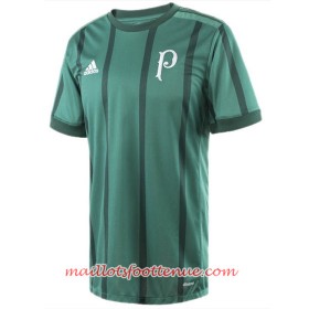 Maillot/Tenue Palmeiras Domicile 2017/2018