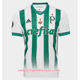 Maillot/Tenue Palmeiras Exterieur 2017/2018