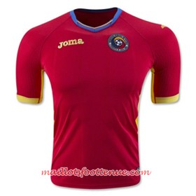 Maillot/Tenue Roumanie Exterieur Euro 2016
