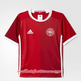 Maillot/Tenue Danemark Domicile Euro 2016