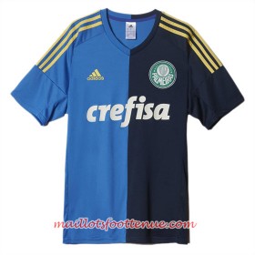 Maillot/Tenue Palmeiras Troisieme 2016/2017