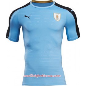 Maillot/Tenue Uruguay Domicile 2016/2017