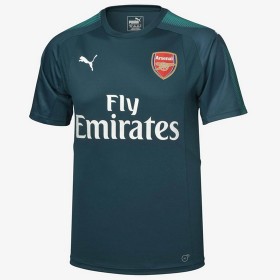 Maillot/Tenue Arsenal Gardien 2017/2018