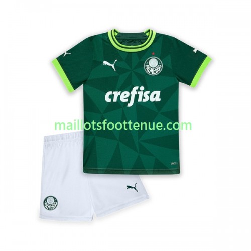 Maillot Domicile Palmeiras 2023/24 – Vert, Taille L, Neuf, Fabriqué Au Brésil